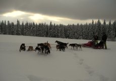 Musherem na vlastní kůži / také noční verze
