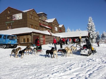 Speed mushing a sněžné skútry