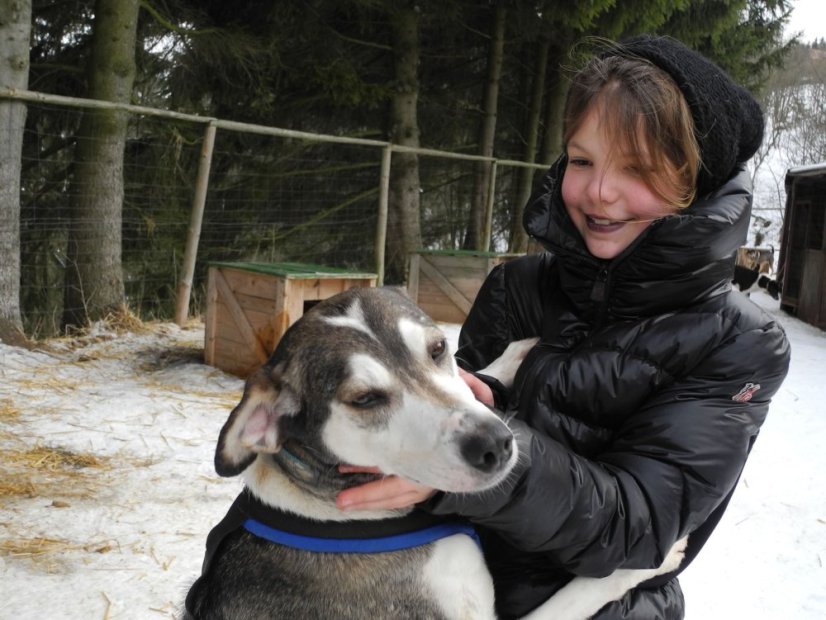 Musher Junior