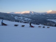 Musherský tandem pro dva / také noční verze