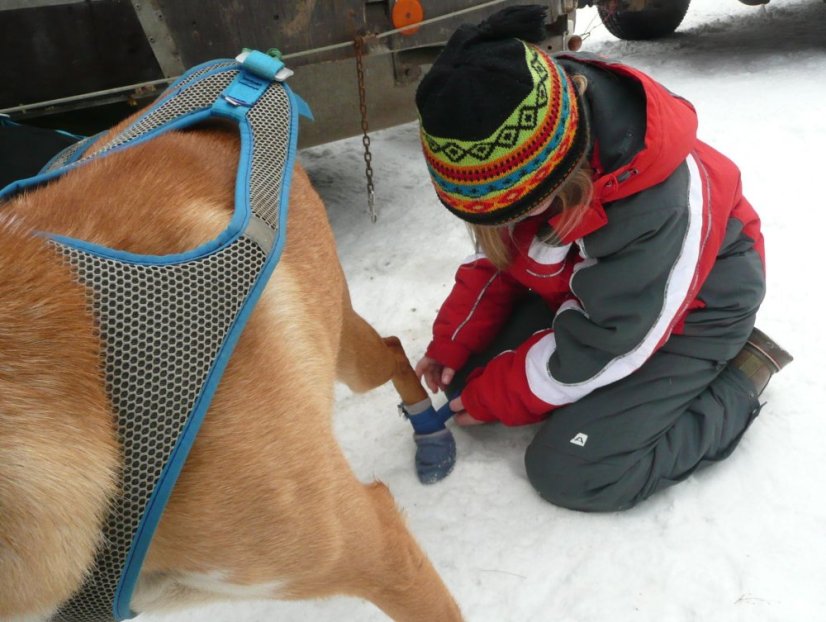 Musher Kadet
