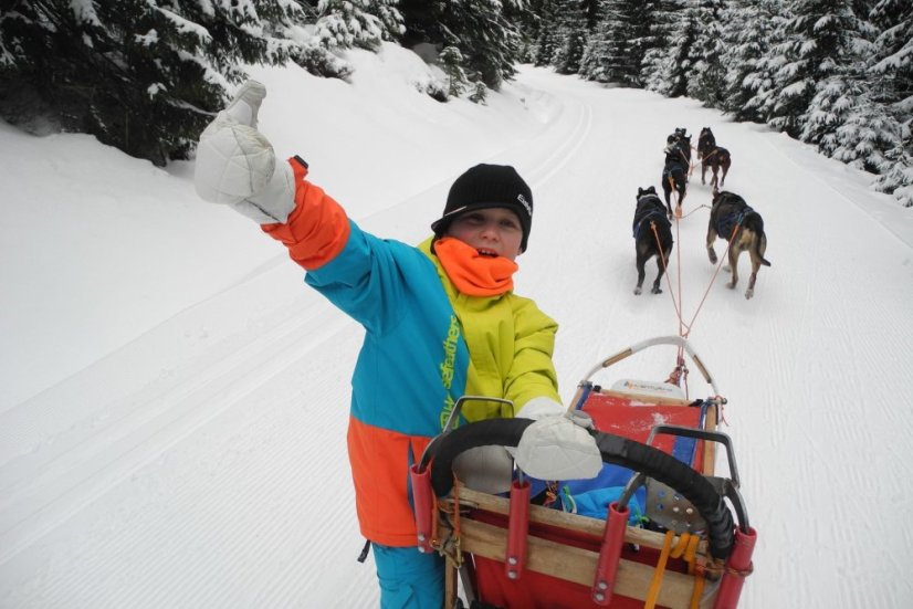 Musher Junior