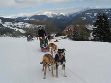 Leoš Mareš a Monika Marešová - moderátor