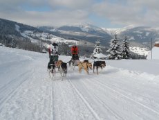 Musherská rodina - EXCLUSIVE