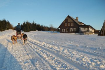 Tereza Kostková - herečka