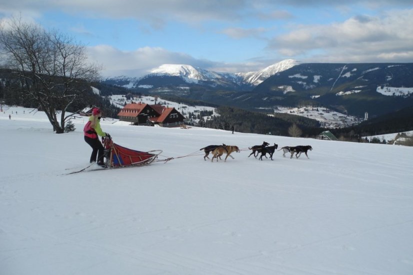 Musherem na vlastní kůži / také noční verze