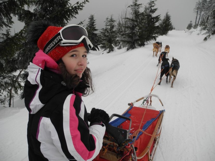 Musher Kadet a Junior