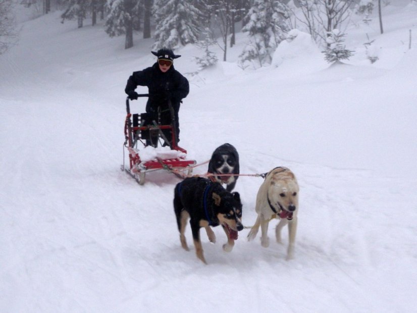 Musher Kadet a Junior
