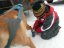 Musher Kadet