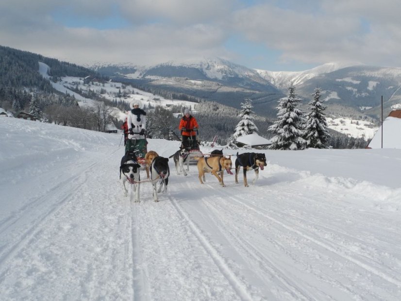 Musherská rodina - EXCLUSIVE