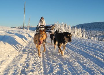 Jitka Čvančarová a Petr Čadek - herečka a tanečník