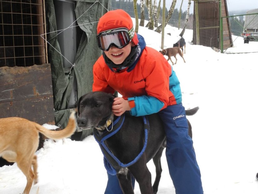 Musher Kadet a Junior