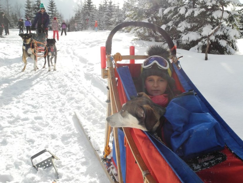 Musher Kadet a Junior