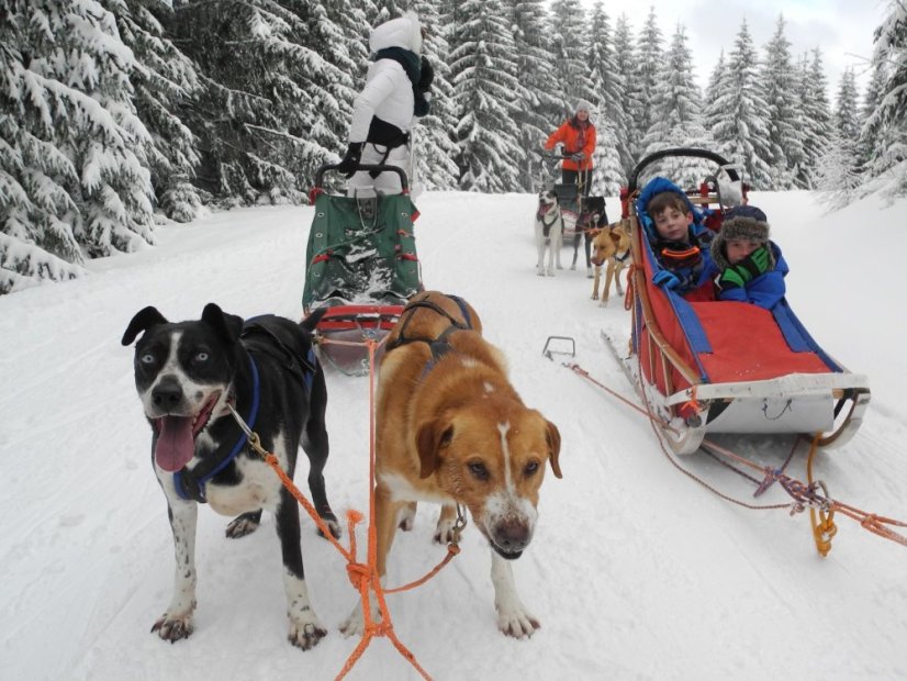 Musherská rodina - EXCLUSIVE